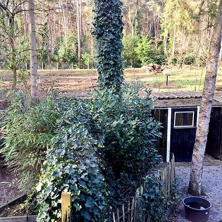 Comfortable Chalet In A Unique Location In Forest Essen Bagian luar foto
